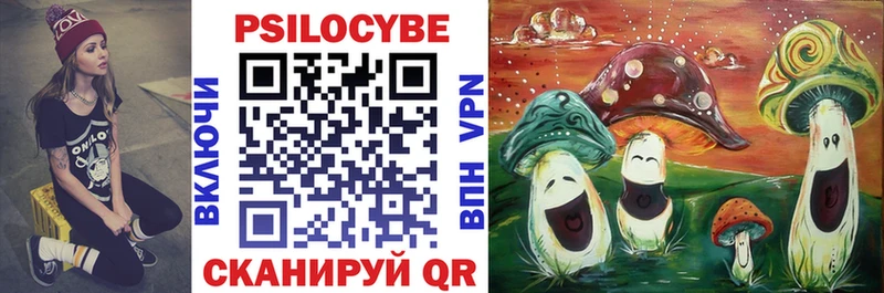 Галлюциногенные грибы Psilocybe  Волоколамск 