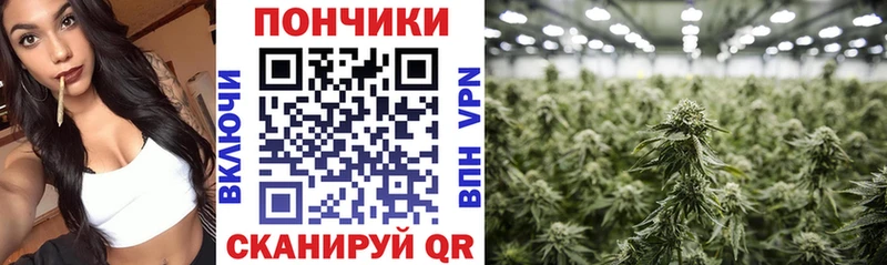 МАРИХУАНА Amnesia  Волоколамск 